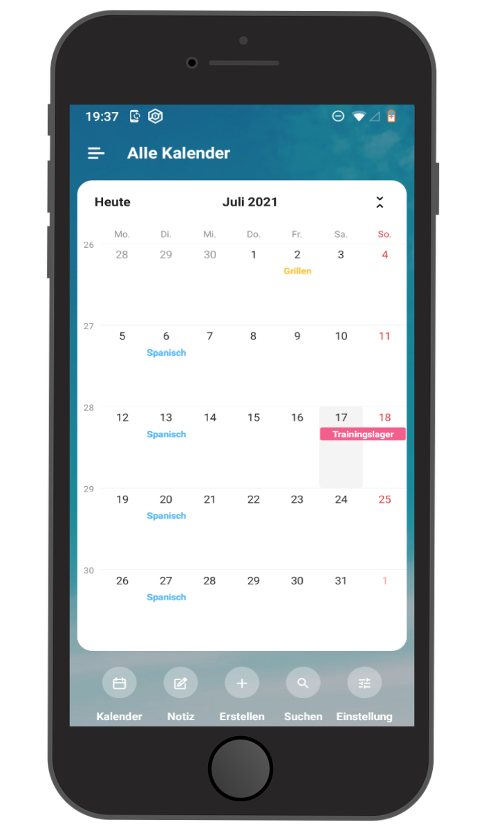 TimeTree month view